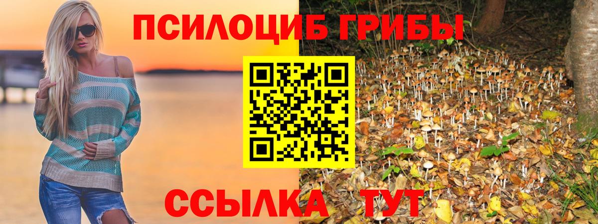 Псилоцибиновые грибы мухоморы Лесосибирск